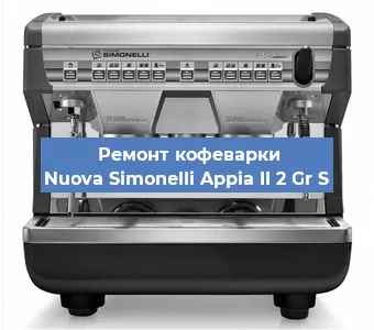 Чистка кофемашины Nuova Simonelli Appia II 2 Gr S от накипи в Красноярске